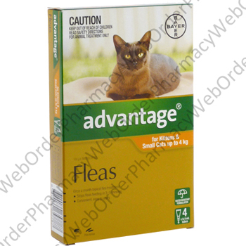 Advantage for Kittens and Small Cats up to 4kg (Imidacloprid) - 9.1% (4 x 0.4mL) P1