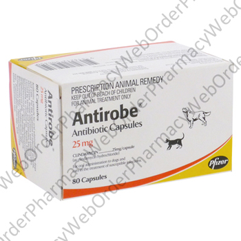 Antirobe (Clindamycin Hydrochloride) - 25mg (80 Capsules) P1